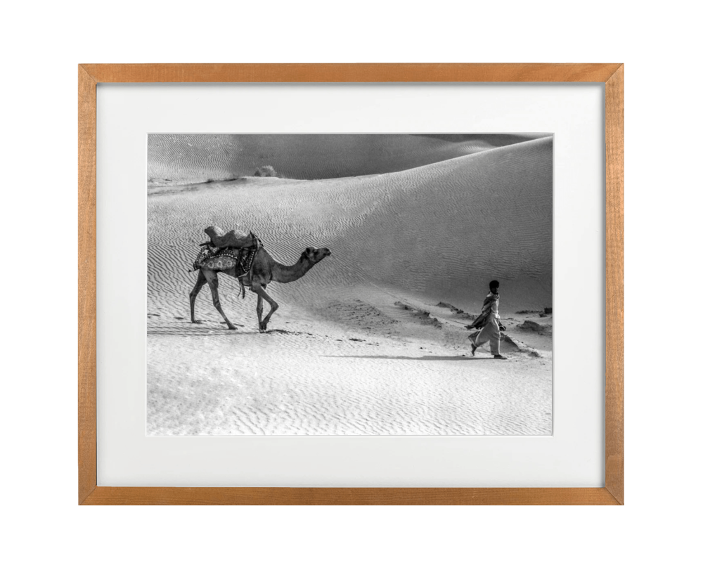 sand dunes of Jaiselmer