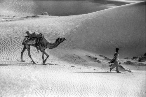 sand dunes of Jaiselmer