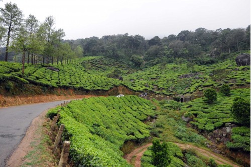 road to Munnar 