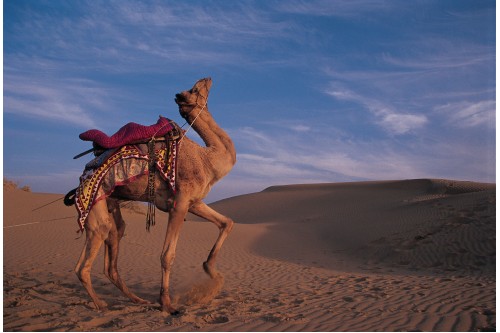 sand dunes