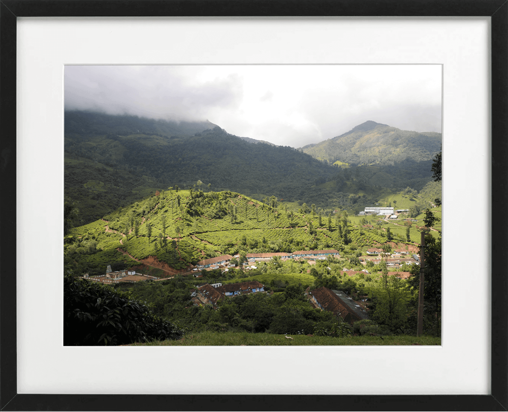 The nilgiris