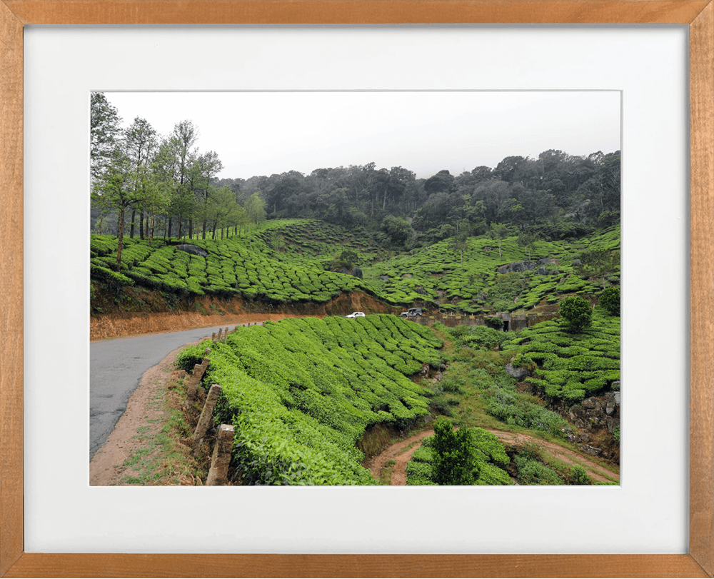 road to Munnar 