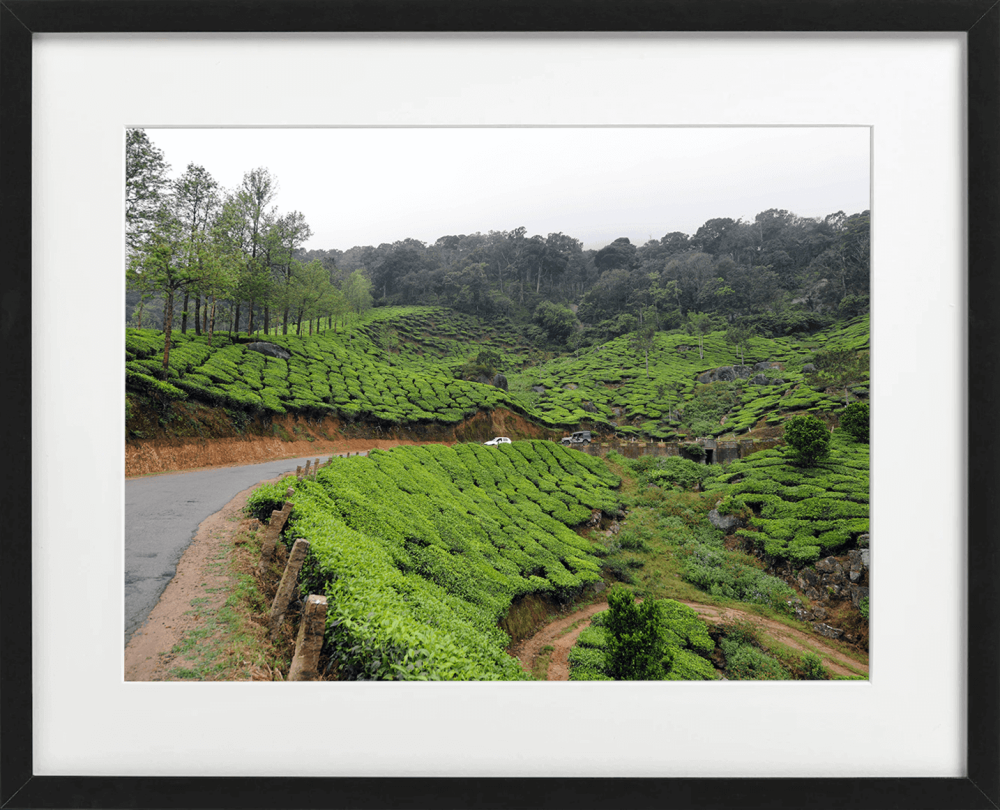 road to Munnar 