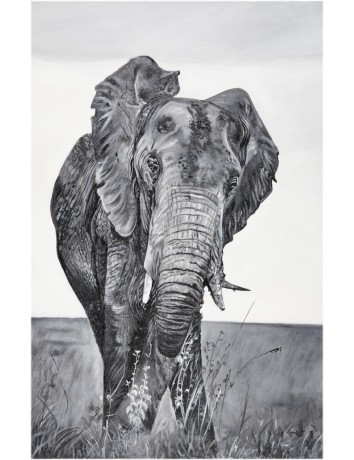  Tanzania